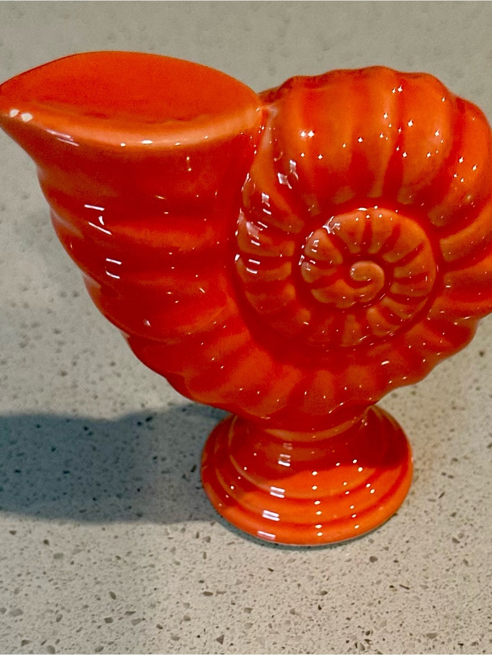 Orange Nautilus Spiral Shell Pedestal Decor